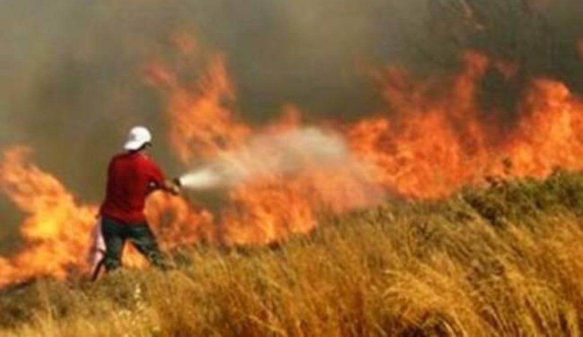 3 φωτιές στη Λέσβο από αγροτικές εργασίες