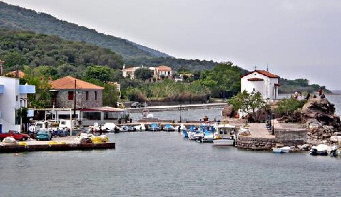 Ορειάς : πεζοπορία στη Σκάλα Συκαμιάς