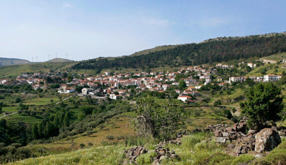 Απάντηση στη Ταξιαρχούλα Πνακά...με άλλοθι 90 ιδιοκτήτες