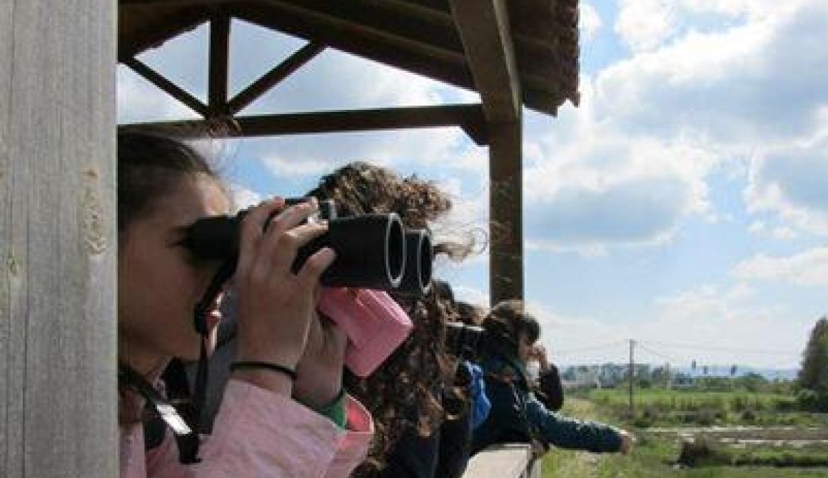 Παγκόσμια Ημέρα Περιβάλλοντος εκδηλώσεις WWF και Περιφέρειας 