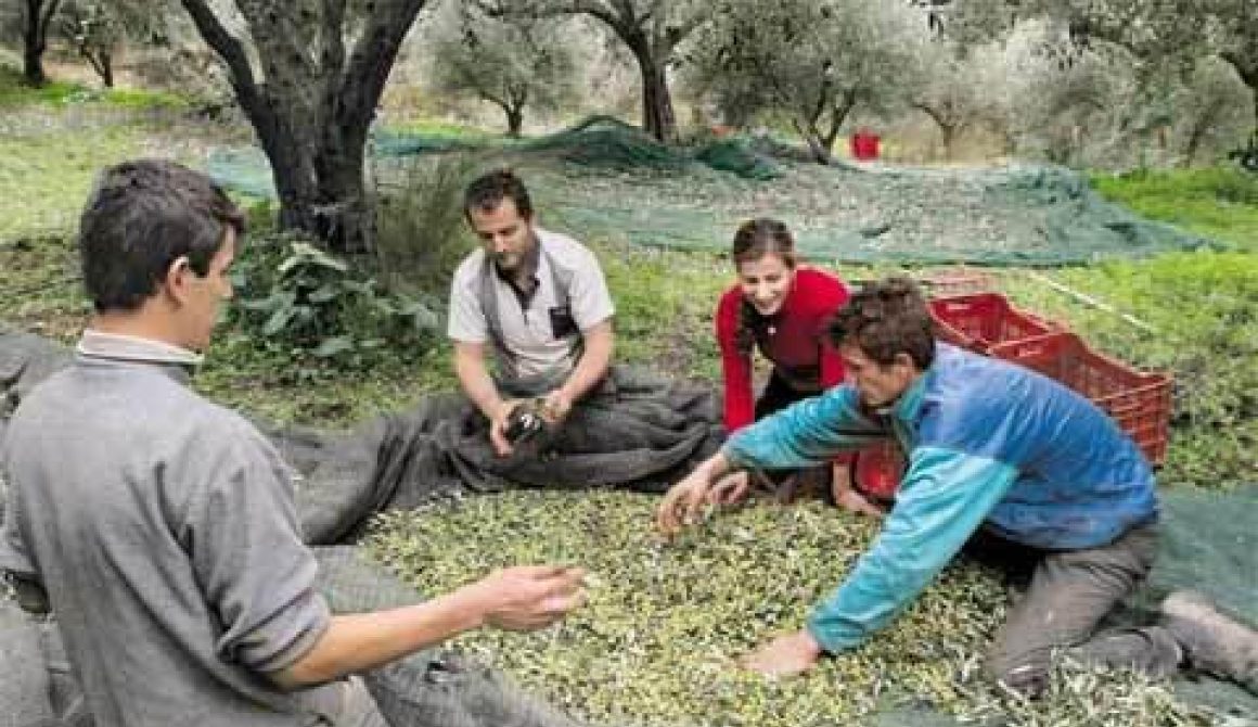 Μέχρι 10 Ιανουαρίου οι ενστάσεις για τη 2ετη παράταση Βιολογικής Γεωργίας