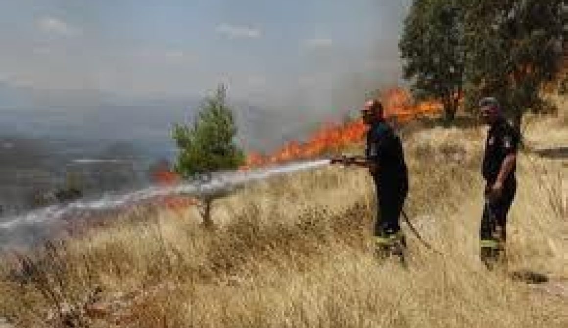 Φωτιά στην Αγία Τριάδα Καλλονής