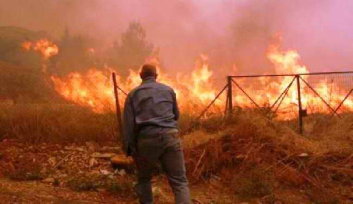 Στάχτη 30 στρέμματα στην Καλλονή Λέσβου