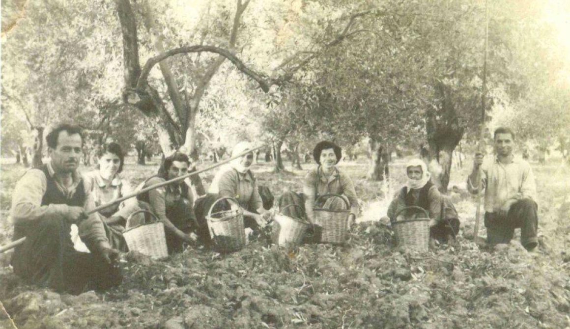 Ταξίδι στο χθες... στο Ίππειος της Λέσβου... όταν η ζωή ήταν αλλιώς...