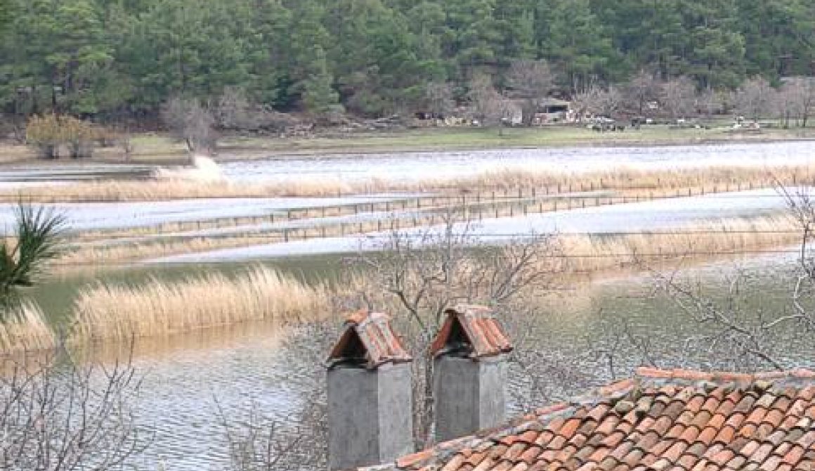 Το τσαμλίκι της Αγιάσου