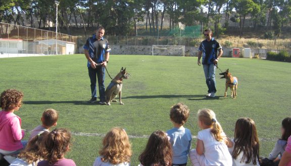 Στο πλαίσιο της #Παγκόσμιας_Ημέρας_των_Ζώων, οι μικροί μαθητές του 14ου Νηπιαγωγείου Μυτιλήνης, είχαν την ευκαιρία να γνωρίσουν τους αστυνομικούς σκύλους MIRCA και BESS της Διεύθυνσης Αστυνομίας Λέσβου και τους συνοδούς τους.