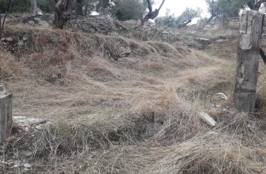 ΚΑΓΚΕΛΟΠΟΡΤΑ ΠΟΥ ΛΕΙΠΕΙ ΜΕ ΚΟΛΟΝΕΣ ΣΠΑΣΜΕΝΕΣ