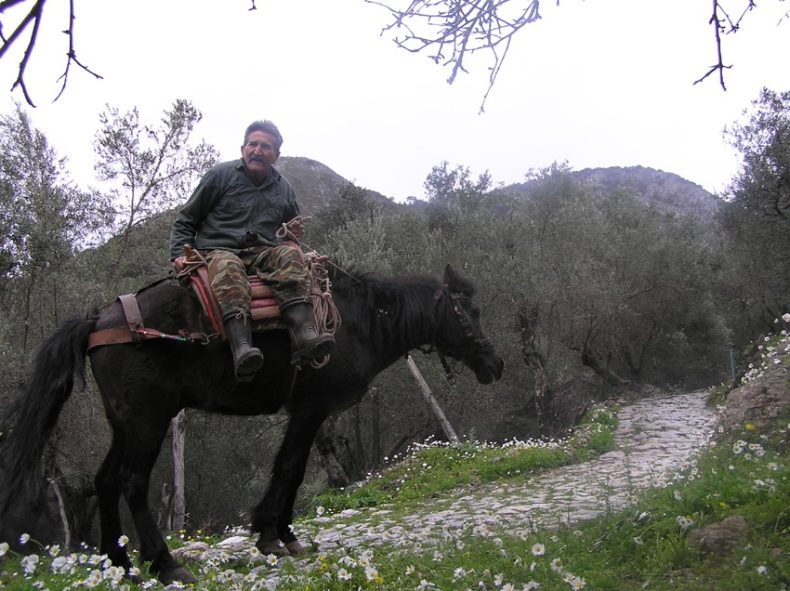 Άλογο σε ρόλο αγωγιάτη. (Φωτο Κ.Π.Ε. Ασωμάτου)