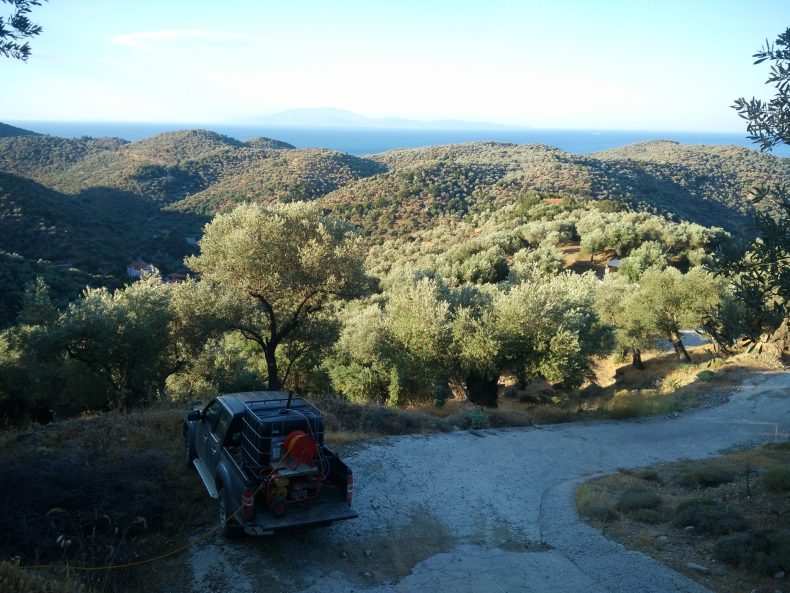 πρωινοί ψεκασμοί με καολίνη στον ελαιώνα